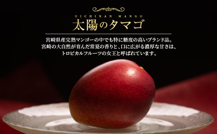 宮崎県日南市のふるさと納税 完熟マンゴー 太陽のタマゴ 赤秀品 4L × 2玉 期間限定 数量限定 マンゴー 宮崎 フルーツ 果物 くだもの 国産 食品 先行予約 2026 令和8年発送 濃厚 デザート おやつ おすすめ 冷蔵 ご褒美 贅沢 おすそわけ 化粧箱入り ギフト 贈り物 贈答 日南市 送料無料_H7-191