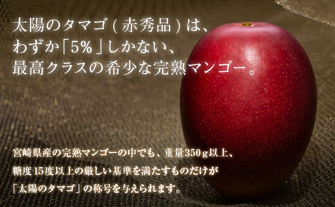 宮崎県日南市のふるさと納税 完熟マンゴー 太陽のタマゴ 赤秀品 4L × 2玉 期間限定 数量限定 マンゴー 宮崎 フルーツ 果物 くだもの 国産 食品 先行予約 2026 令和8年発送 濃厚 デザート おやつ おすすめ 冷蔵 ご褒美 贅沢 おすそわけ 化粧箱入り ギフト 贈り物 贈答 日南市 送料無料_H7-191