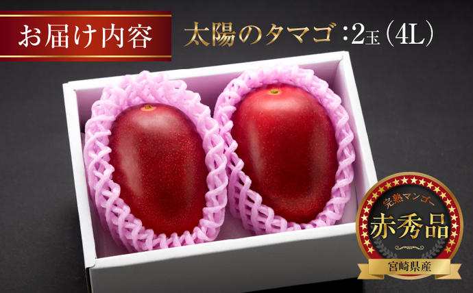 宮崎県日南市のふるさと納税 完熟マンゴー 太陽のタマゴ 赤秀品 4L × 2玉 期間限定 数量限定 マンゴー 宮崎 フルーツ 果物 くだもの 国産 食品 先行予約 2026 令和8年発送 濃厚 デザート おやつ おすすめ 冷蔵 ご褒美 贅沢 おすそわけ 化粧箱入り ギフト 贈り物 贈答 日南市 送料無料_H7-191
