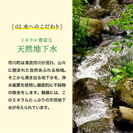 兵庫県市川町のふるさと納税 【累計600万個突破！】★TVで紹介されました★【定期便】タズミの卵Ｍサイズ（30個×3か月）022AB01N.／こだわり卵 市川町産 兵庫県産 たまご 卵 たまごかけご飯 玉子 生卵 鶏卵 タマゴ 卵焼き TKG 3か月 定期便
