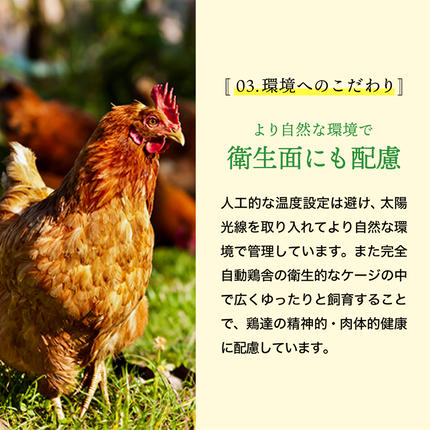 兵庫県市川町のふるさと納税 【累計600万個突破！】★TVで紹介されました★【定期便】タズミの卵Ｍサイズ（30個×3か月）022AB01N.／こだわり卵 市川町産 兵庫県産 たまご 卵 たまごかけご飯 玉子 生卵 鶏卵 タマゴ 卵焼き TKG 3か月 定期便