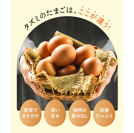 兵庫県市川町のふるさと納税 【累計600万個突破！】★TVで紹介されました★【定期便】タズミの卵Ｌサイズ（30個×12ヶ月）097AB01N.／こだわり卵 市川町産 兵庫県産 たまご 卵 たまごかけご飯 玉子 生卵 鶏卵 タマゴ 卵焼き TKG 12か月 定期便