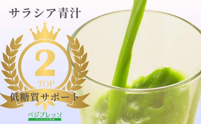 定期便】【無添加青汁】サラシア青汁（5g×30包）3か月連続お届け 無