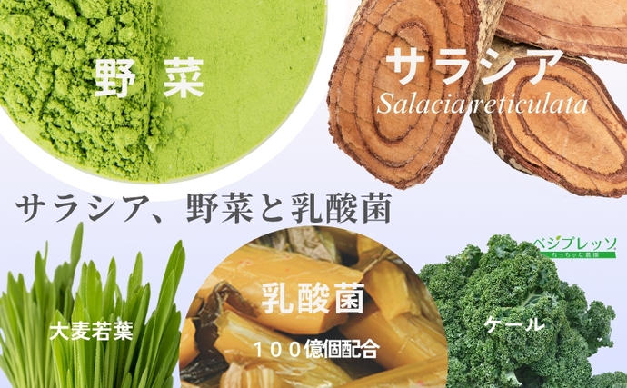 定期便】【無添加青汁】サラシア青汁（5g×30包）3か月連続お届け 無