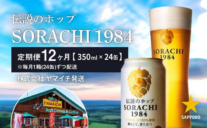 ビール 定期便 12ヶ月 SORACHI1984 350ml × 24缶 上富良野町発祥