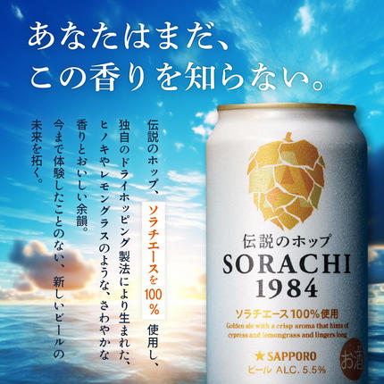 ビール 定期便 12ヶ月 SORACHI1984 350ml × 24缶 上富良野町発祥