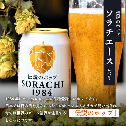 ビール 定期便 12ヶ月 SORACHI1984 350ml × 24缶 上富良野町発祥