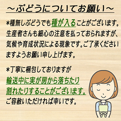 岡山県里庄町のふるさと納税 ぶどう2026年 先行予約 岡山 名産 晴王 シャイン マスカット たっぷり2kg！9月上旬以降順次発送 ギフトにも ブドウ 葡萄 岡山県産 国産 フルーツ 果物 ギフト用 贈答用 皮ごと 種なし 産地直送
