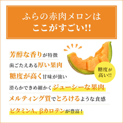 北海道上富良野町のふるさと納税 【令和8年産】ふらの 赤肉メロン 2kg～2.6kg 2玉 厳選 秀品 特4サイズ セット めろん 果物 フルーツ デザート くだもの 旬の果物 旬のフルーツ ファーム富良野 北海道