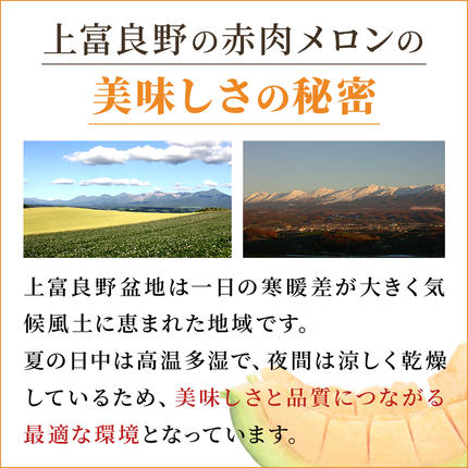 北海道上富良野町のふるさと納税 【令和8年産】ふらの 赤肉メロン 2kg～2.6kg 2玉 厳選 秀品 特4サイズ セット めろん 果物 フルーツ デザート くだもの 旬の果物 旬のフルーツ ファーム富良野 北海道