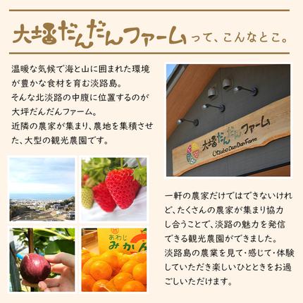 兵庫県淡路市のふるさと納税 淡路島の温暖な気候で育ったいちご・いちじく・みかんを使った３種のフルーツジャムセット