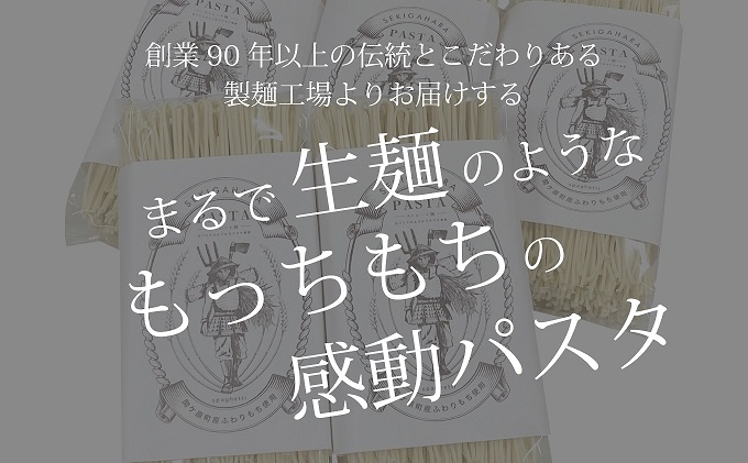 岐阜県関ケ原町のふるさと納税 関ケ原町産ふわりもち使用 関ケ原パスタ（ストレート麺）計1500g（300g×5袋 約15人前）