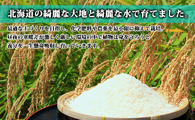 北海道富良野市のふるさと納税 【北海道富良野産】令和6年産 無洗米 ゆめぴりか 10kg お米 米 ご飯 ごはん 白米