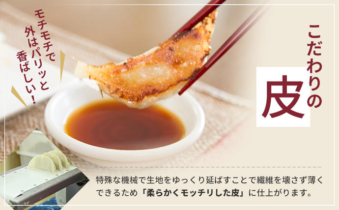 静岡県浜松市のふるさと納税 浜松餃子 80個 (20個×4袋) セット 餃子 国産 冷凍餃子 冷凍食品 惣菜 配送不可：離島