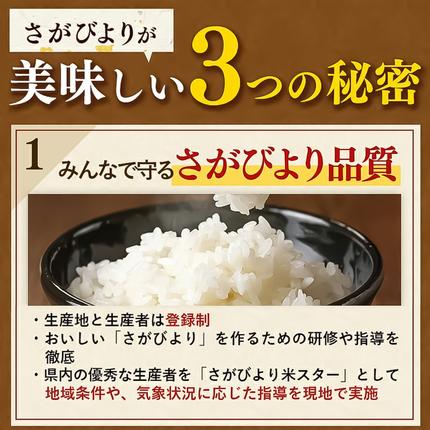 佐賀県神埼市のふるさと納税 【令和7年産】さがびより 精米 5kg【特A受賞米 米 5kg お米 コメ こめ 国産 美味しい ブランド米 人気 ランキング 増田米穀】(H015211)