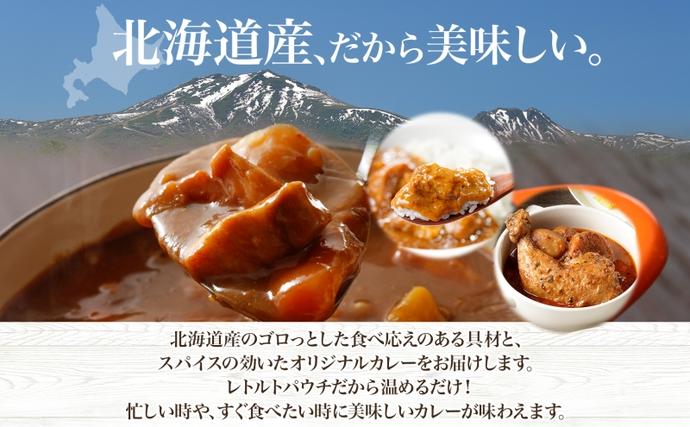 北海道倶知安町のふるさと納税 倶知安 チキンレッグスープカレー 計5個 中辛 北海道 レトルト 食品 丸ごと チキンカレー スープカレー 野菜 じゃがいも 鶏 チキン お取り寄せ グルメ