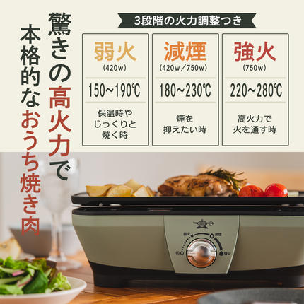 兵庫県加西市のふるさと納税 アラジン グラファイト ミニグリラー グリーン 緑 アラジングリル ホットプレート 卓上プレート