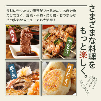 兵庫県加西市のふるさと納税 アラジン グラファイト ミニグリラー グリーン 緑 アラジングリル ホットプレート 卓上プレート