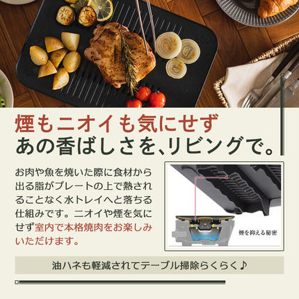 兵庫県加西市のふるさと納税 アラジン グラファイト ミニグリラー グリーン 緑 アラジングリル ホットプレート 卓上プレート