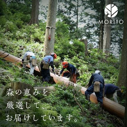 売切＞【MORITO】丸太（切り株）とアイアンスツール（杉）／森庄銘木