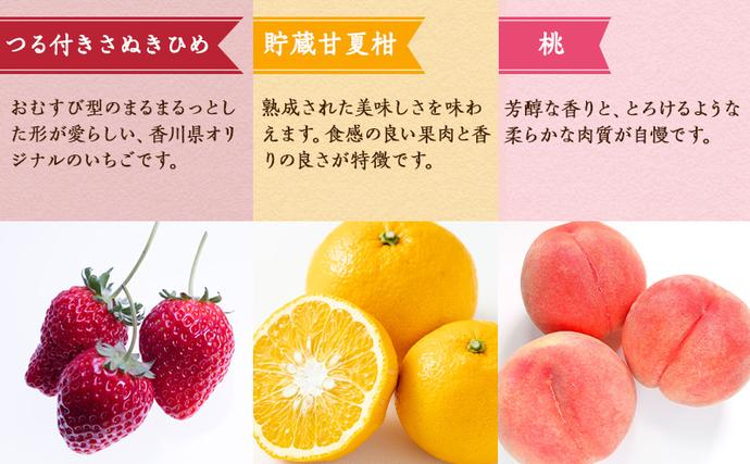 香川県綾川町のふるさと納税 特産　フルーツ　定期便（年12回） 香緑キウイ さぬきひめいちご しらぬひ 貯蔵 デコポン