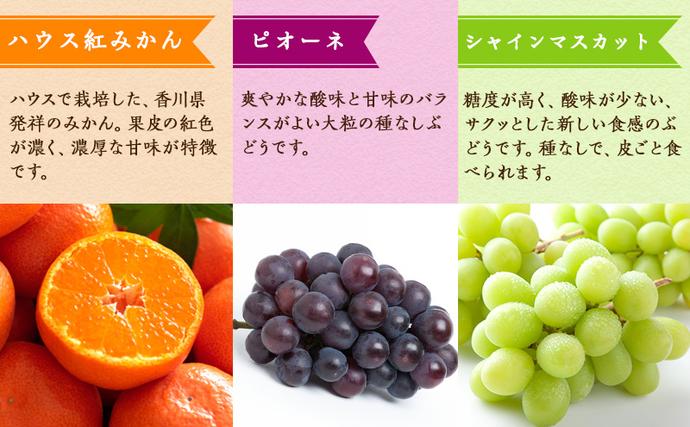 香川県綾川町のふるさと納税 特産　フルーツ　定期便（年12回） 香緑キウイ さぬきひめいちご しらぬひ 貯蔵 デコポン