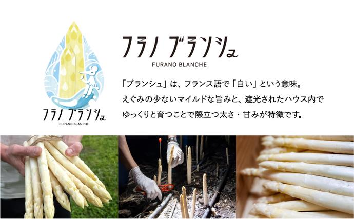 北海道上富良野町のふるさと納税 【令和8年産】先行予約 北海道 上富良野産 ホワイトアスパラガス 3L サイズ 400g アスパラ ホワイト アスパラガス 上富良野町 野菜 やさい