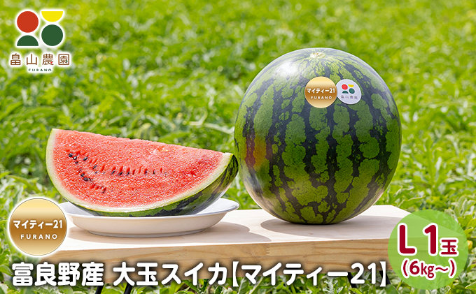 北海道富良野市のふるさと納税 【2026夏発送】富良野産 大玉 スイカ L（6kg～）1玉【マイティ21】 北海道 ふらの すいか 西瓜 夏 フルーツ ふらの 甘い 糖度 大きい 大だま (畠山農園）