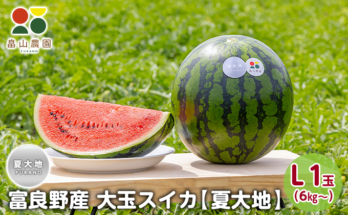 北海道富良野市のふるさと納税 【2026夏発送】富良野産 大玉 スイカ L（6kg～）1玉【夏大地】北海道 ふらの すいか 西瓜 夏 フルーツ ふらの 甘い 糖度 大きい 大だま (畠山農園）