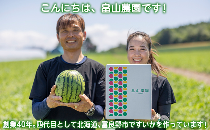 北海道富良野市のふるさと納税 【2026夏発送】富良野産 大玉 スイカ L（6kg～）1玉【夏大地】北海道 ふらの すいか 西瓜 夏 フルーツ ふらの 甘い 糖度 大きい 大だま (畠山農園）