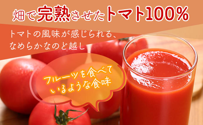 北海道富良野市のふるさと納税 ふらの トマト100 160g×30本入  (ジュース 野菜ジュース 飲み物 缶 北海道 送料無料 道産 富良野市 ふらの)