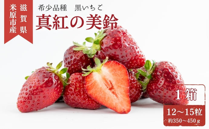 滋賀県米原市のふるさと納税 希少品種黒色 いちご「真紅の美鈴（しんくのみすず）」黒いちご 本州限定 苺 イチゴ 果物 フルーツ