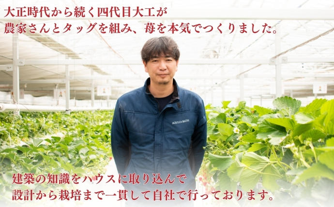 滋賀県米原市のふるさと納税 希少品種黒色 いちご「真紅の美鈴（しんくのみすず）」黒いちご 本州限定 苺 イチゴ 果物 フルーツ