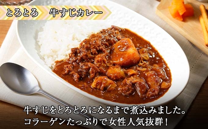 北海道倶知安町のふるさと納税 北海道 倶知安 カレー 3種 食べ比べ セット 計6個 中辛 スープカレー ビーフ ポーク 牛すじ カレー 詰め合わせ じゃがいも 牛 牛肉 豚肉 業務用 レトルトカレー