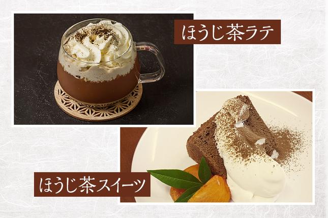 京都府宇治田原町のふるさと納税 ほうじ茶粉のティーバッグ120個分（40個入×3袋）お茶の木谷製茶場〈ほうじ茶 焙じ茶 ほうじ茶粉 宇治茶 お茶 茶 ティーパック ティーバッグ 飲料〉