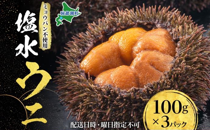 北海道洞爺湖町のふるさと納税 北海道 塩水 ウニ 100g 3パック 1月下旬頃～3月末頃まで順次出荷 バフン ムラサキ うに 雲丹 海鮮 ミョウバン不使用 小川商店