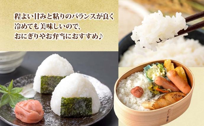 北海道新篠津村のふるさと納税 北海道 R7年産 北海道産 ゆめぴりか 5kg 精米 米 白米 ごはん お米 ライス 特A 獲得 5キロ 北海道米 ブランド米 道産 ご飯 お取り寄せ 甘み もちもち 粘り