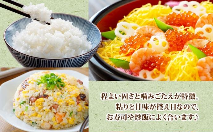 北海道新篠津村のふるさと納税 北海道 R7年産 北海道産 ななつぼし 5kg 精米 米 白米 ごはん お米 特A 獲得 最高金賞 5キロ ライス 北海道米 ブランド米 道産 ご飯 あっさり ふっくら お取り寄せ