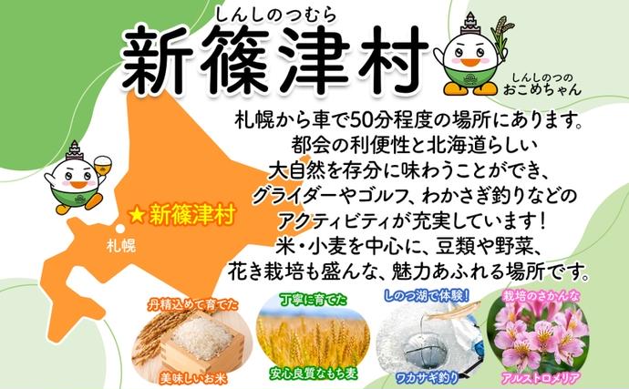 北海道新篠津村のふるさと納税 北海道 R7年産 北海道産 ななつぼし 5kg 精米 米 白米 ごはん お米 特A 獲得 最高金賞 5キロ ライス 北海道米 ブランド米 道産 ご飯 あっさり ふっくら お取り寄せ