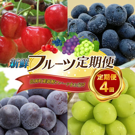 【先行予約】【数量限定】新鮮フルーツの定期