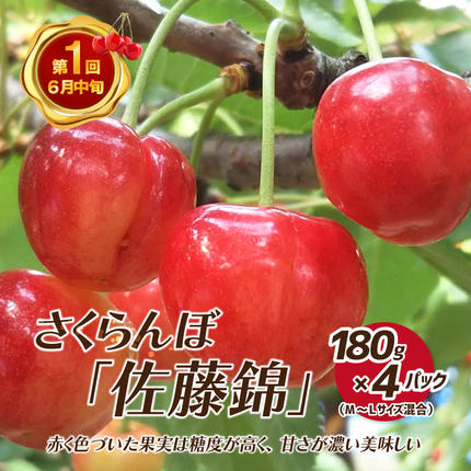 島根県邑南町のふるさと納税 【先行予約】【数量限定】新鮮フルーツの定期便 年4回お届け（さくらんぼ佐藤錦、冷凍ブルーベリー、ピオーネ、シャインマスカット）　