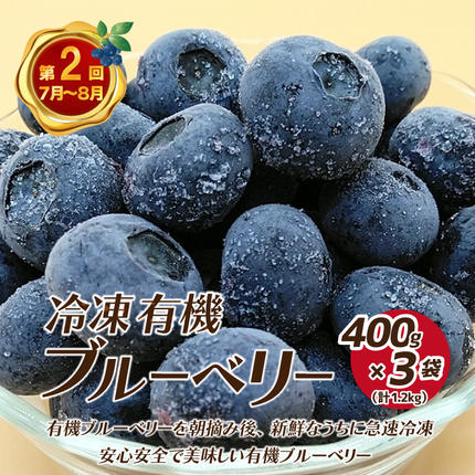 島根県邑南町のふるさと納税 【先行予約】【数量限定】新鮮フルーツの定期便 年4回お届け（さくらんぼ佐藤錦、冷凍ブルーベリー、ピオーネ、シャインマスカット）　