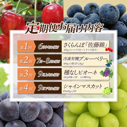 島根県邑南町のふるさと納税 【先行予約】【数量限定】新鮮フルーツの定期便 年4回お届け（さくらんぼ佐藤錦、冷凍ブルーベリー、ピオーネ、シャインマスカット）　
