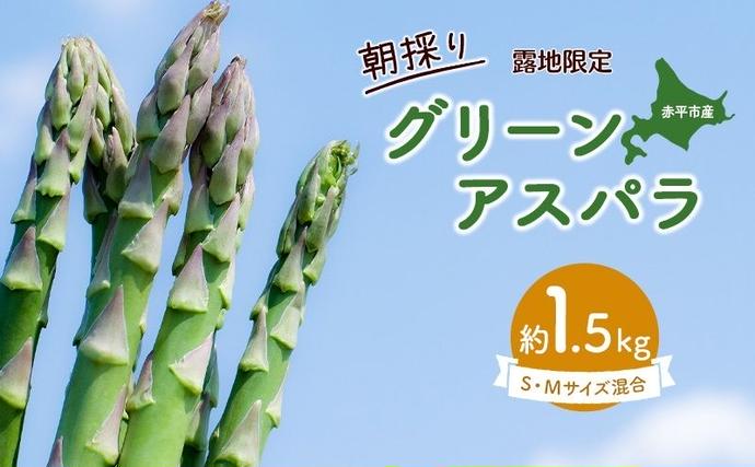 北海道赤平市のふるさと納税 アスパラ 北海道 約1.5kg！朝採り 露地限定グリーンアスパラ（M・Sサイズ混合）［ほりぐち農園］※2026年5月中旬出荷開始先行予約  野菜 アスパラガス 旬 とれたて お取り寄せ 産地直送