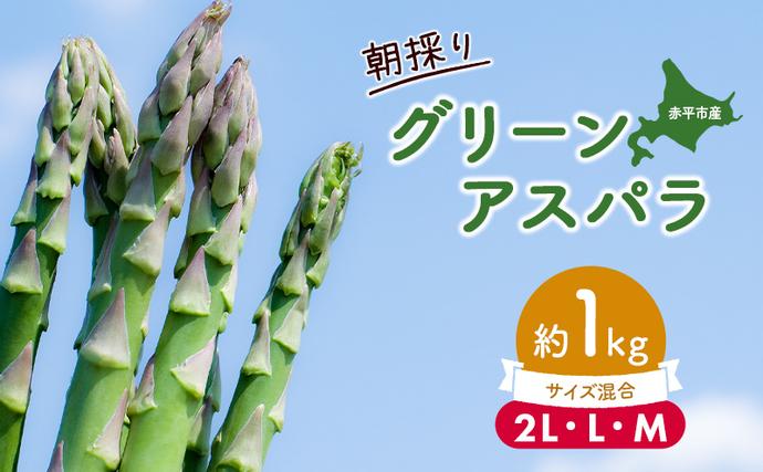 北海道赤平市のふるさと納税 アスパラ 北海道 朝採り 春グリーンアスパラ 約1kg 2L L M サイズ混合［ほりぐち農園］ ※2026年4月中旬出荷開始先行予約 野菜 アスパラガス グリーンアスパラ 旬 とれたて お取り寄せ 産地直送 生産者直送