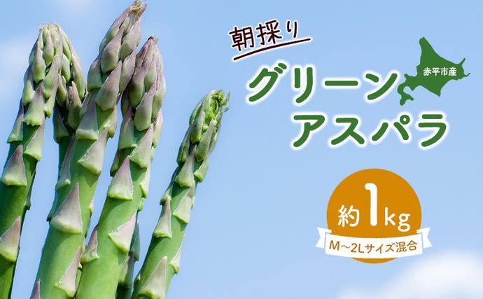 北海道赤平市のふるさと納税 アスパラ 北海道 朝採り 春グリーンアスパラ 約1kg 2L L M サイズ混合［ほりぐち農園］ ※2026年4月中旬出荷開始先行予約 野菜 アスパラガス グリーンアスパラ 旬 とれたて お取り寄せ 産地直送 生産者直送