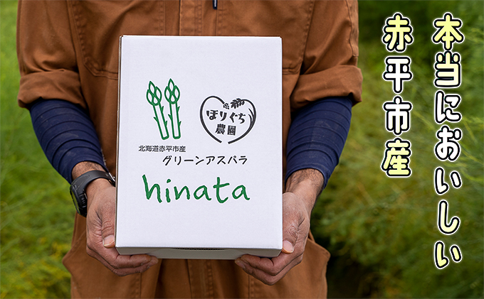 北海道赤平市のふるさと納税 アスパラ 北海道 約1.5kg！朝採り 露地限定グリーンアスパラ（M・Sサイズ混合）［ほりぐち農園］※2026年5月中旬出荷開始先行予約  野菜 アスパラガス 旬 とれたて お取り寄せ 産地直送