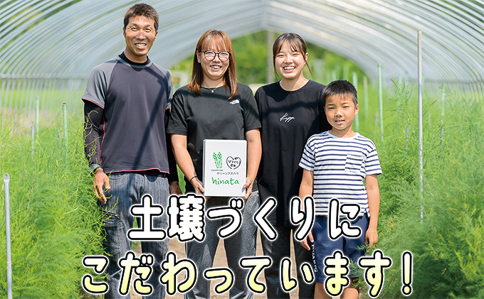 北海道赤平市のふるさと納税 アスパラ 北海道 約1.5kg！朝採り 露地限定グリーンアスパラ（M・Sサイズ混合）［ほりぐち農園］※2026年5月中旬出荷開始先行予約  野菜 アスパラガス 旬 とれたて お取り寄せ 産地直送