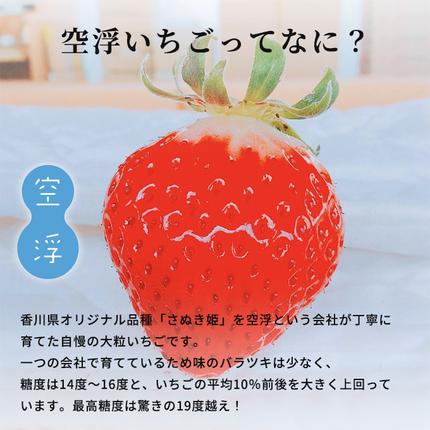 香川県東かがわ市のふるさと納税 空浮いちご 8パック「北海道・沖縄・離島へのお届け不可」 果物 フルーツ 香川県産 ハウス育ち デザート おやつ 食後 お菓子作り ケーキ作り