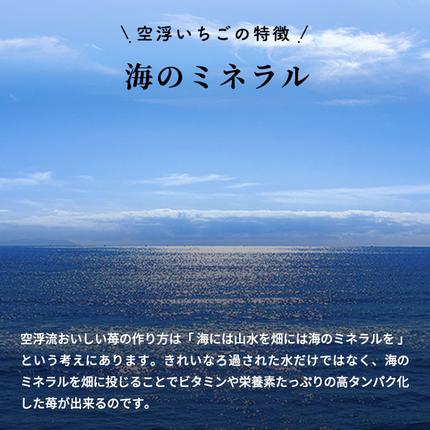 香川県東かがわ市のふるさと納税 空浮いちご 8パック「北海道・沖縄・離島へのお届け不可」 果物 フルーツ 香川県産 ハウス育ち デザート おやつ 食後 お菓子作り ケーキ作り